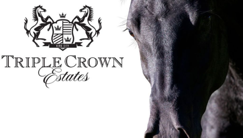 Triple-Crown-Estates-Project-Logo-4-v7